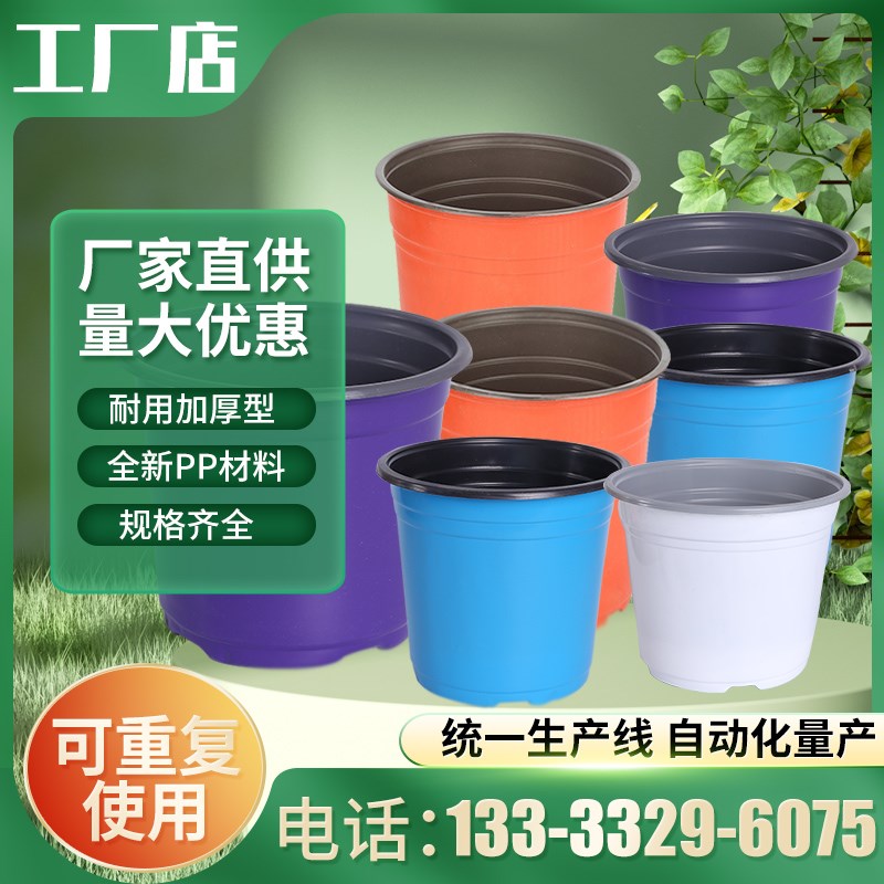 双色盆加厚蓝色白色紫色草莓多肉种植盆一次性塑料扦插育苗花盆