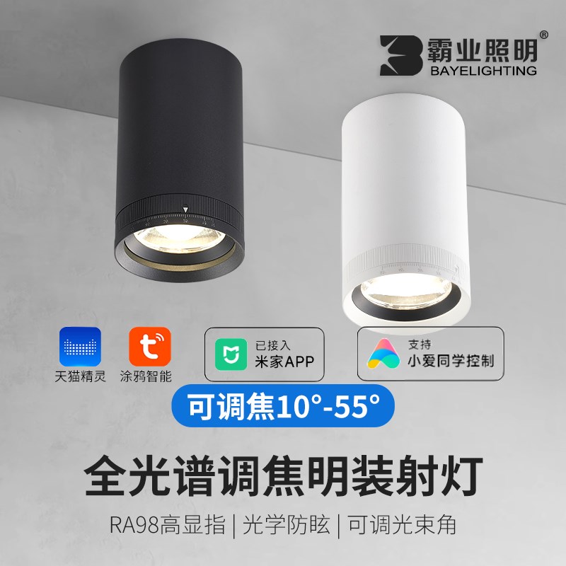 变焦明装射灯涂鸦智能聚光变光小吸顶式沙发背景墙全光谱可调焦灯