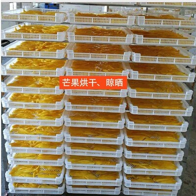 单冻器冷冻盘晾晒盘塑料烘干盘浅筐长方形网筐多肉托盘晒干货筛
