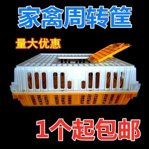 塑料鸡笼运输笼家用大号成鸡周转箱装鸡鸭鹅禽笼子养殖的鸡筐。