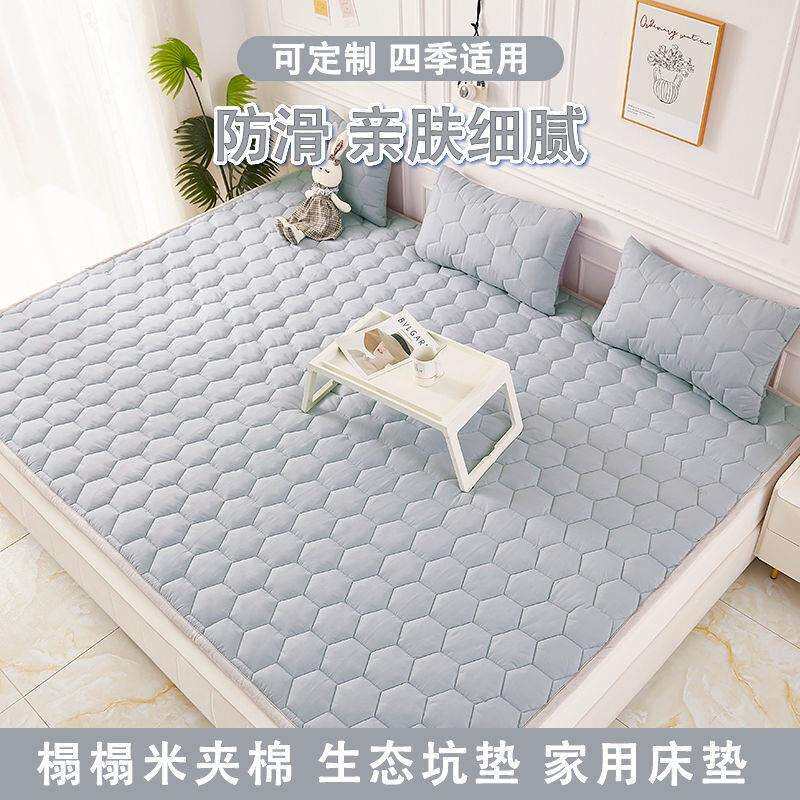 新款新款榻榻米床垫子床褥子地炕垫地铺柔软加厚防滑可折叠可