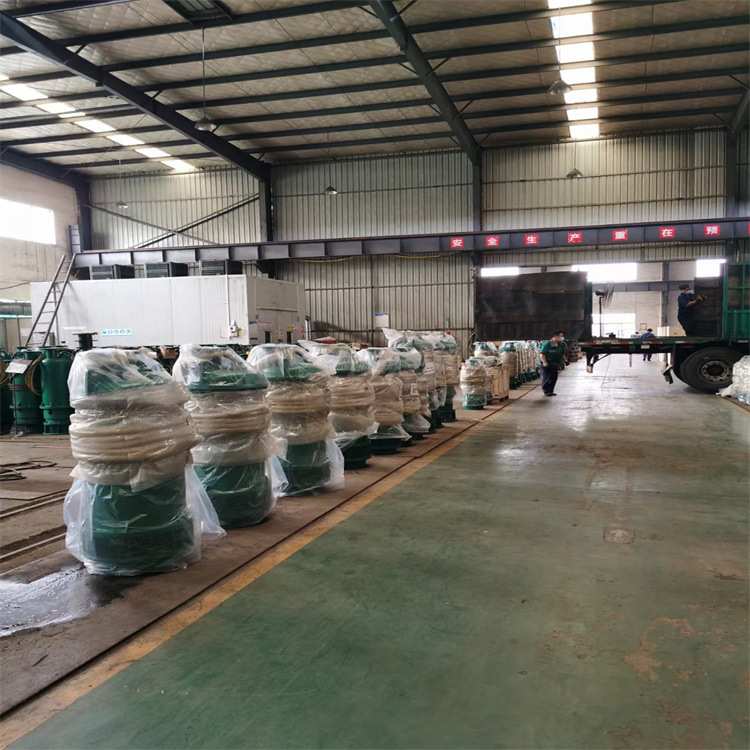 BQS100-40-22/N潜水泵 立式 整机潜水 矿用隔爆型排沙排污潜水泵