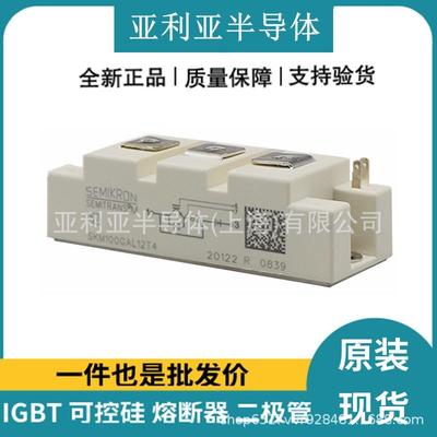 SKM100GAL12T4-12V SKM150GAL12T4-12V SKM145GAL123D-124D-128D