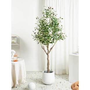 仿真绿植油橄榄树假树植物落地大型摆件客厅北欧室内橱窗造景盆栽