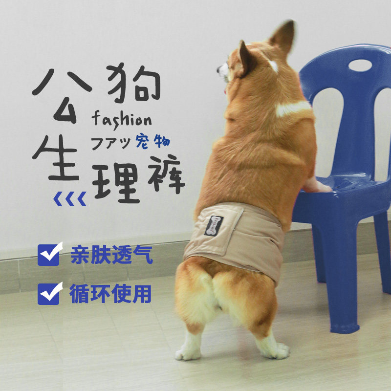 宠物狗狗公狗生理裤礼貌带尿裤公专用防交配内裤柯基法斗泰迪用品