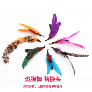 尾巴星人7个装 宠物逗猫棒逗猫杆羽毛替换头耐咬自嗨互动猫棒