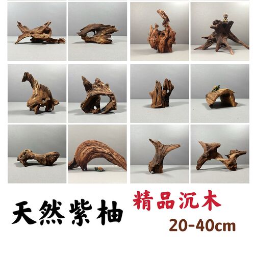 南美沉木40cm以内水族沉木小型鱼缸造景南美爬宠拱桥晒台躲避摆件