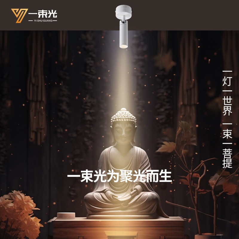 一束光聚光射灯小角度8度光束角led佛像禅意茶室餐桌玄关佛前摆件,家装灯饰光源,明装射灯,淘宝优惠券,粉丝福利购,淘宝优惠卷