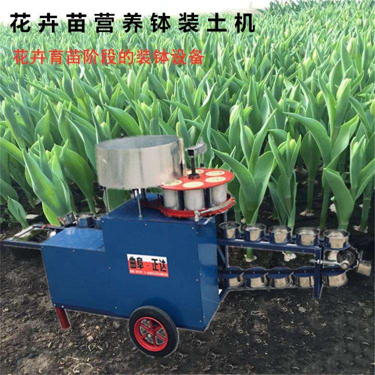 多肉种植装土机 营养杯育苗装土机 杨梅苗营养袋装土机