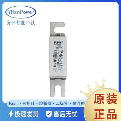 170M3020 170M3022 170M3070 170M3170 170M3220快速熔断器保险丝