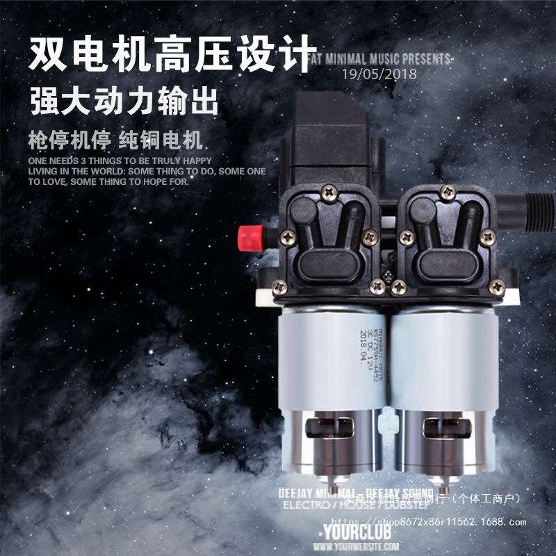 【双铜电机】12V洗车水泵 车载洗车机220V家用便携洗车器刷车直销
