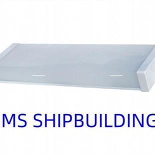 LIGHT CEILING 荧光蓬顶灯 FLUORESCENT