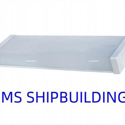 荧光蓬顶灯 FLUORESCENT CEILING LIGHT