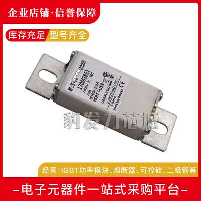 170M2682/2683/2684/2685/3808/3809/3810/3811/3812/3813熔断器