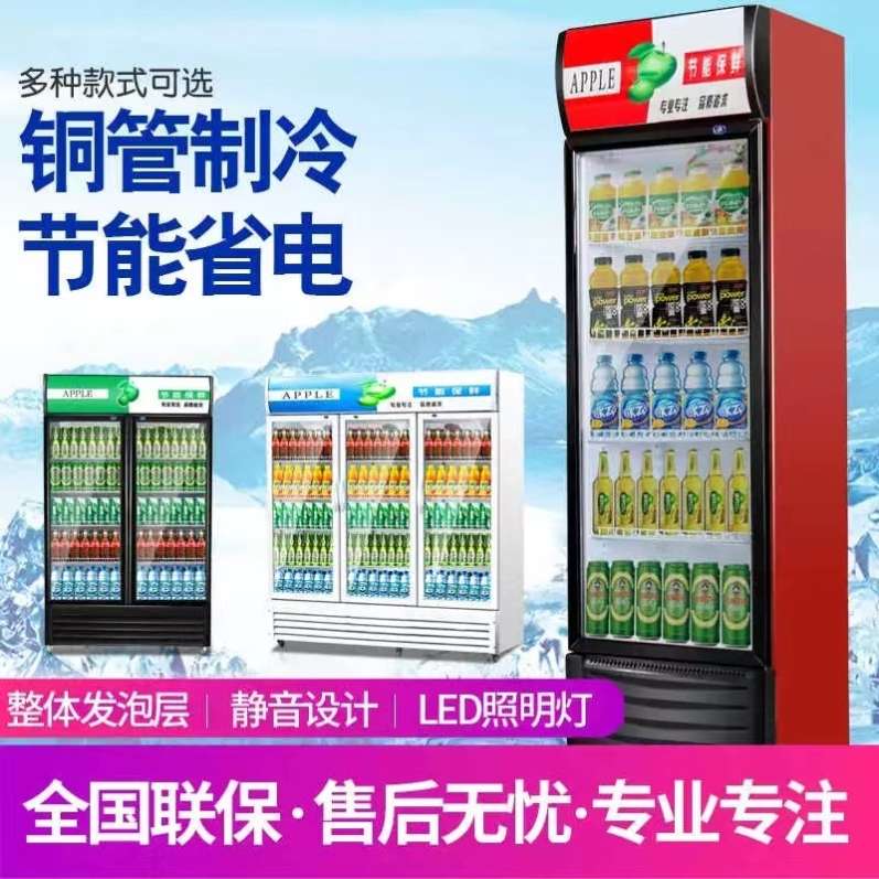 商用饮料展示柜冷藏冰柜保鲜双开门冷饮冷柜商用单门啤酒冰箱立式