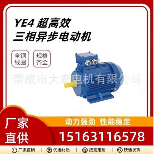 山东大泰厂家直供YE4-200L-4-30KW三相异步出口全铜国标马达电机