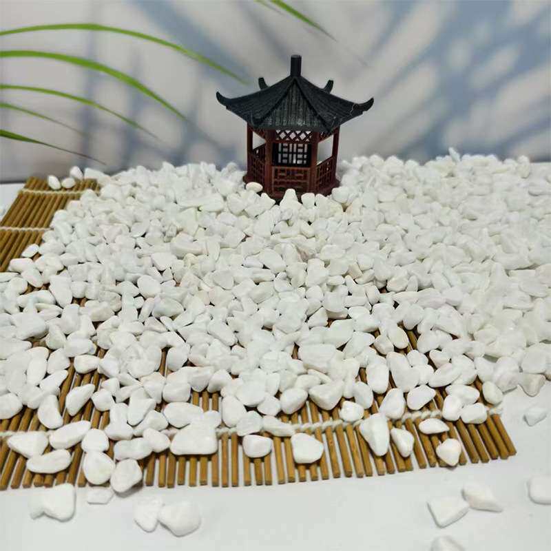 白石子庭院铺路鹅卵石白色石子颗粒小白石头阳台造景景观砾石