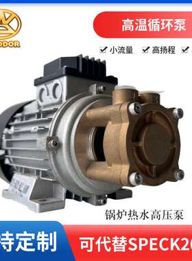 锅炉蒸发器潜水泵热水循环泵WD-016S-200 120W热油泵自吸增压泵
