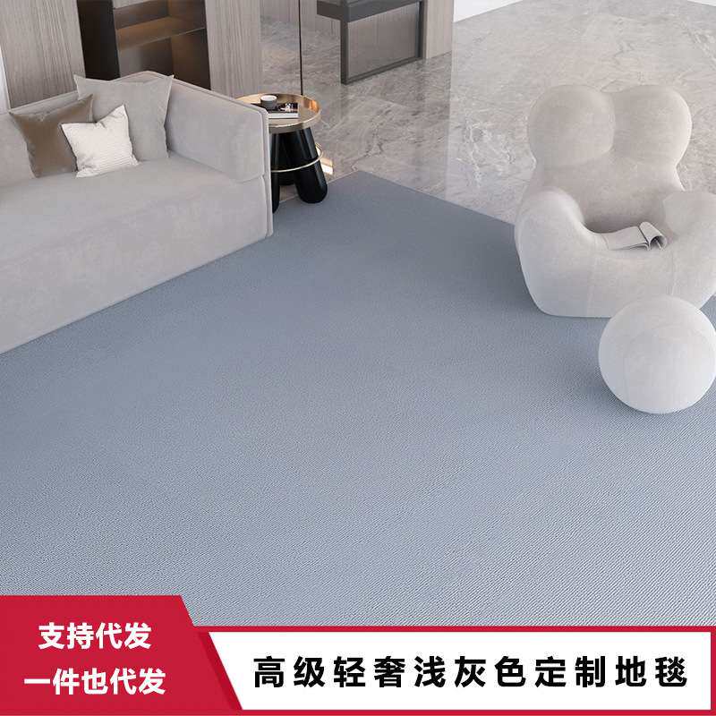 高级浅灰色轻奢家用客厅房间高端设计室耐脏防水可选择异形地毯垫