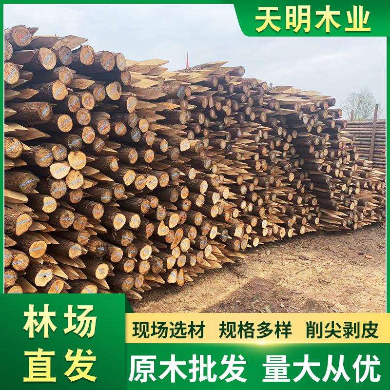 河道工程建筑专用松木桩打桩圆木桩 防汛木桩 松木桩围栏