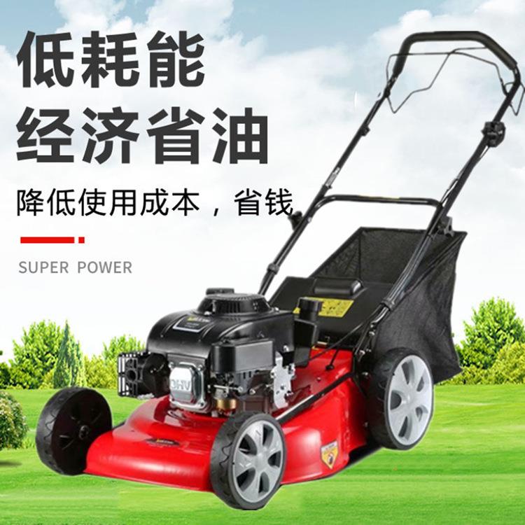 学校草坪修剪机 9马力汽油自走式割草机 校园公园绿化除草剪草机