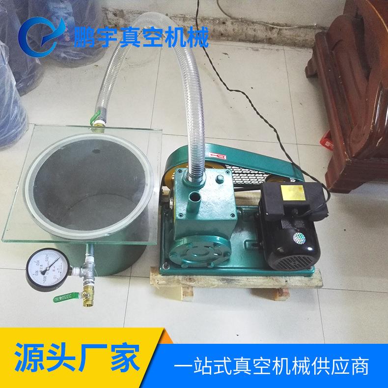 真空泵 胶水脱泡用小型泵 小旋片脱泡泵 小型真空脱泡桶