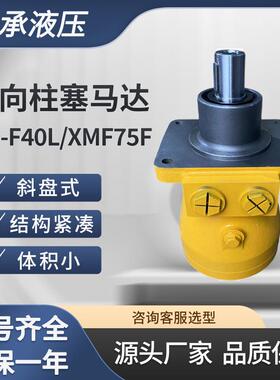 工厂直供 XM-F40L XMF75F徐工回转马达吊机专用轴向柱塞马达