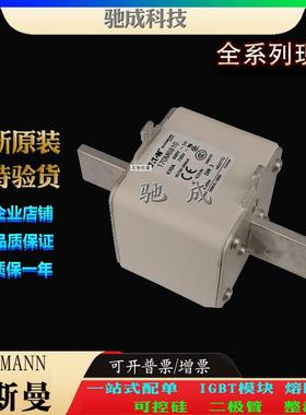 巴斯曼170M6906 170M6907 170M6908 现货供应优价供应 高速熔断器