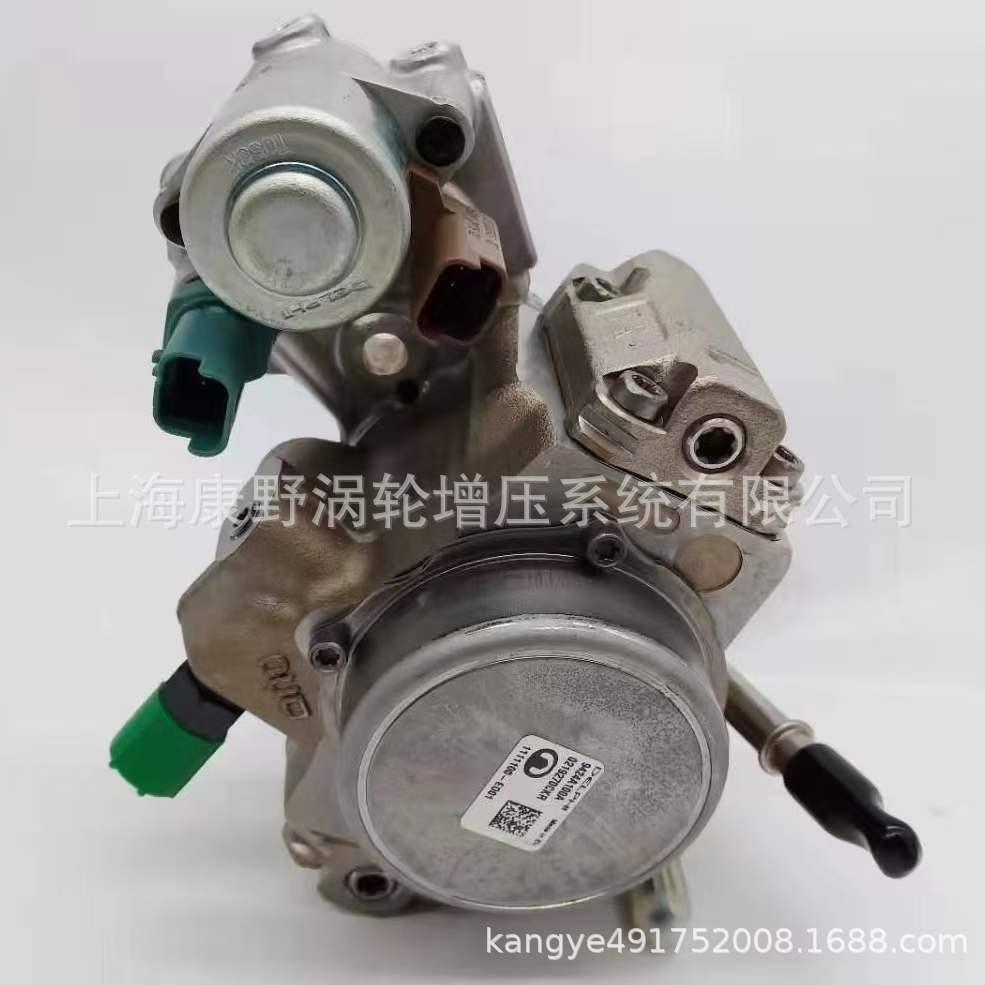 适用德尔福长城哈弗喷油泵 电喷共轨泵1111100-ED01 9424A100A