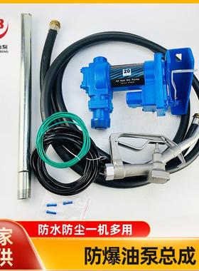 直流防爆油泵 汽油加油泵 DC Ex-Proof Fuel Transfer Pump Kit