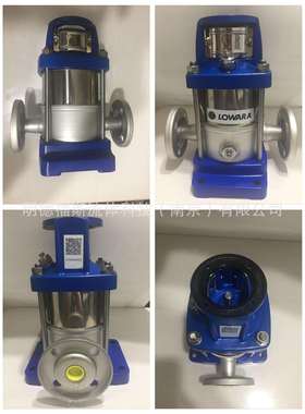 LOWARA泵头，LOWARA立式泵泵头 Xylem泵头 Xylem水泵