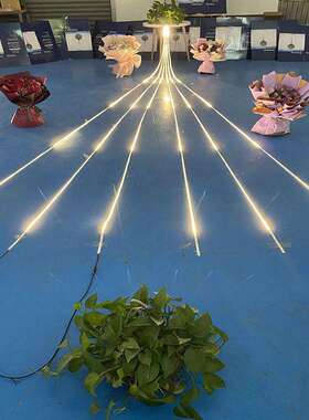 14声控led灯带酒吧KTV动感单车全彩流水编程12V背景幻彩跑马灯条