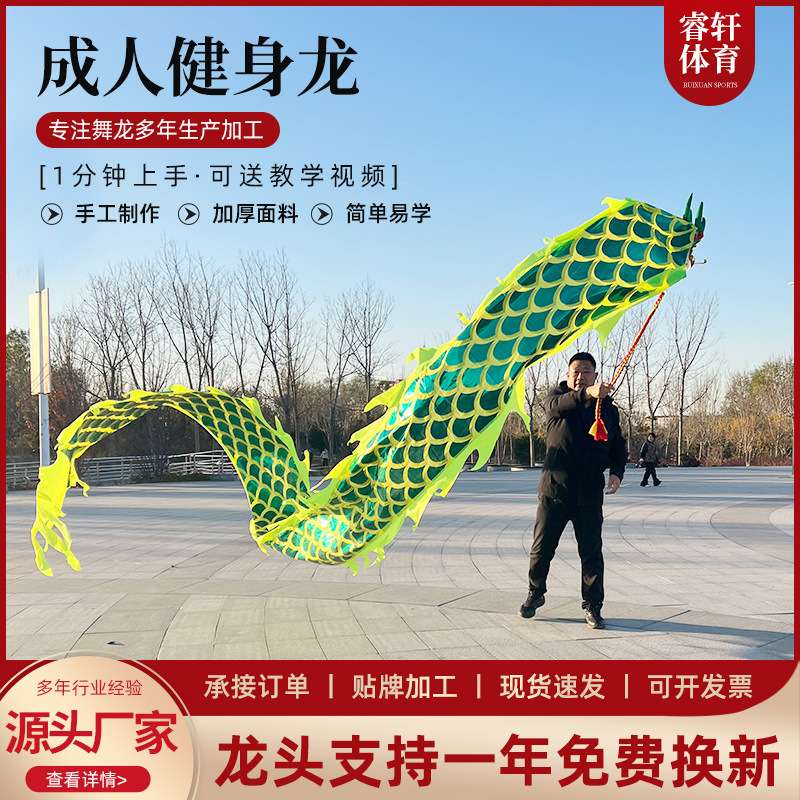 彩带甩甩龙舞龙彩带健身龙广场舞龙初学成人双面烫金甩带传统舞龙
