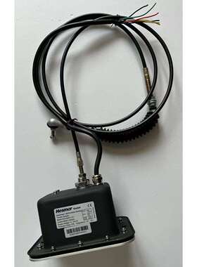 Hesmor 油门执行器