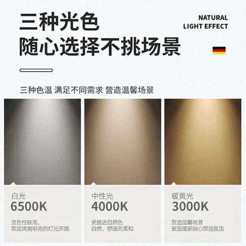 新款北欧小尺寸吊扇灯餐厅风扇灯客厅家用LED吸顶电扇灯现货工厂