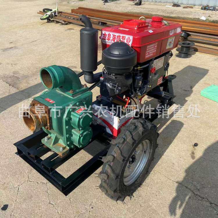 下水道排污清淤水泵家用电养殖抽粪泵2寸直吸直排污水泵