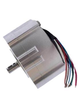 电机48V微型直流无刷电机 长寿命智能家居小家电机马达HS90BL