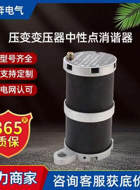 LXQ-II-10KV高压消谐器电阻器圆柱方形互感器用压变变压器中性点
