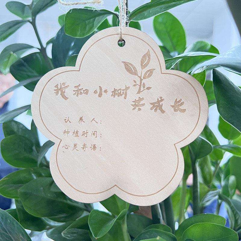 10片木质挂牌 学校植树节吊牌 树木认养牌 植物标签牌 名字卡