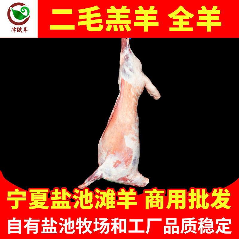 宁夏津玖羊盐池滩羊二毛羔羊白条羊烤全羊火锅烧烤食材生羊肉