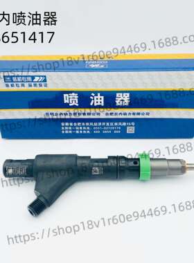 云内28570880/28651417喷油器总成Y10009245云内F45发动机