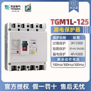 天正漏电保护断路器TGM1L 3N300A三相四线100A125A塑壳漏保 125L