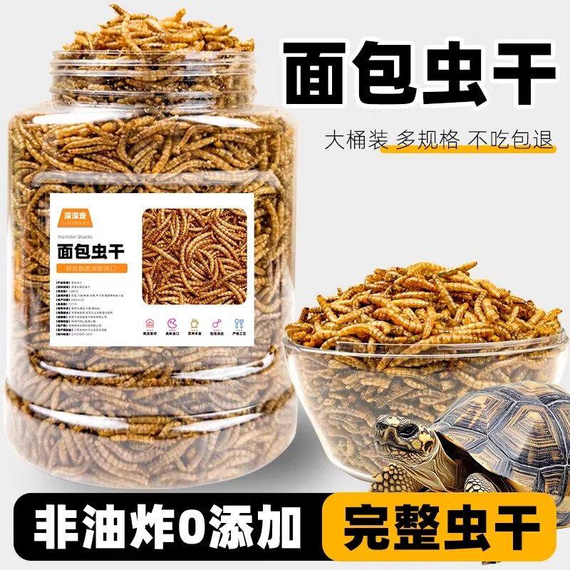 小乌龟饲料通用中华龟龟粮鱼乾虾乾面包虫幼龟草龟龟料颗粒专用粮,宠物/宠物食品及用品,观赏龟/鳖饲料,淘宝优惠券,粉丝福利购,淘宝优惠卷