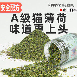日本猫薄荷粉末天然可食用高纯度猫草去化毛球猫咪零食喝水猫酒