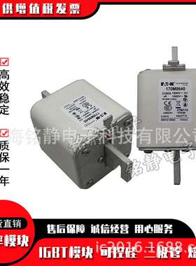 170M8614 170M8615 170M8616巴斯曼熔断器现货170M8617