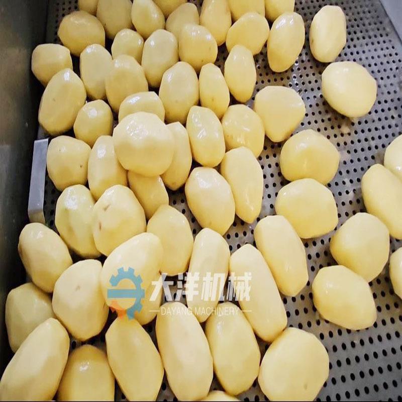 大洋仿手工土豆削皮机XP1000型全自动土豆削皮设备削芒果皮机器