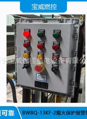 BWBQ -13KF-2 热电厂燃烧炉 火焰检测熄火联控保护装置的适用范围