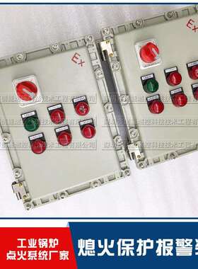 点火控制检测设备 火检探头Unifamep/N401111MD21