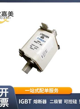 170M2684 170M3011 快速熔断器 电子元器件 型号齐全 量大价优