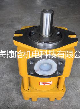 NBT4-G25F NBT4-G32F NBT5-G40F剪板机折弯机用内啮合齿轮泵